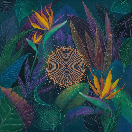 Bird of Paradise