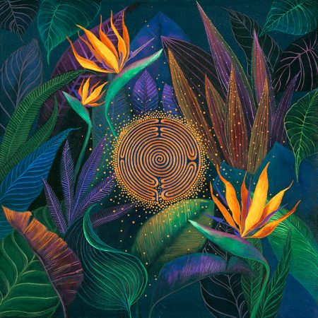 Bird of Paradise