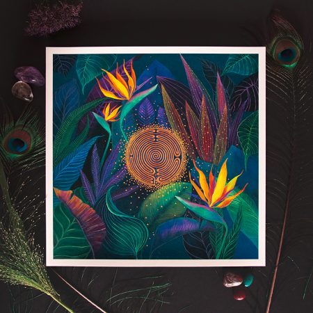 Bird of Paradise
