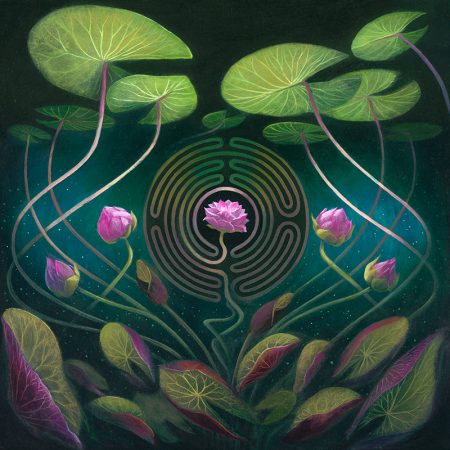 Nymphaea Labyrinth