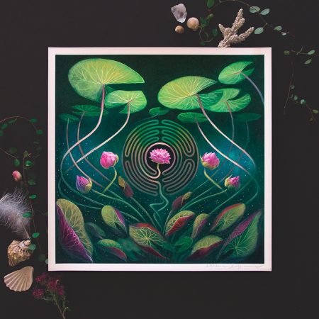 Nymphaea Labyrinth