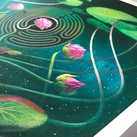 Nymphaea Labyrinth