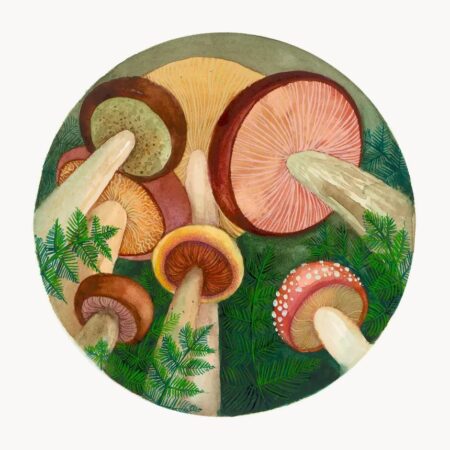 Pilze No. 05