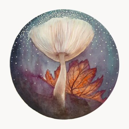 Pilze No. 06