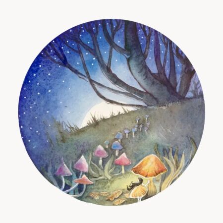Fairy Circle